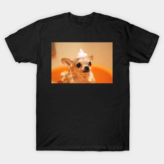 Chihuahua T-Shirt by kawaii_shop